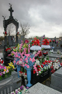 Cementerio con flores